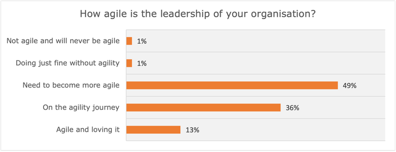 Graph showing the results from various companies on how agile their leadership is