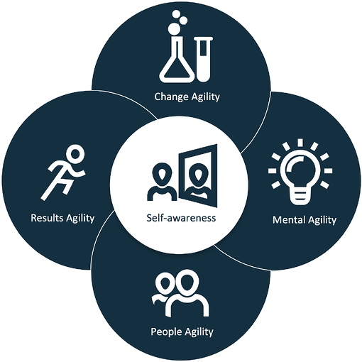 Graphic showing how learning agility works by Lumenii talent management