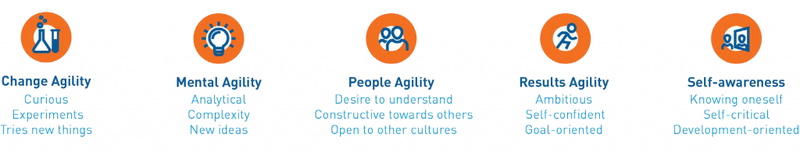 Learning Agility and agile working a match made in heaven_2