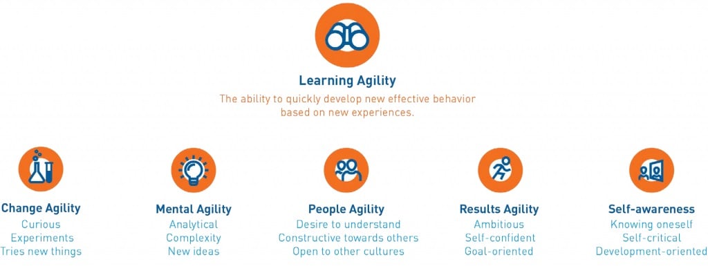 5 types of learning agility explained in detail
